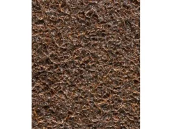 Hiomakangasnauha