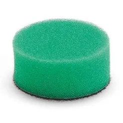 Kiillotussieni