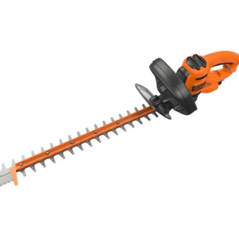 Pensassakset