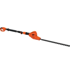 Pensassakset
