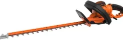 Pensassakset