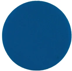 Vaahtosieni
